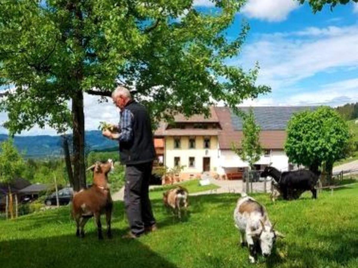 Maierhof Oberried
