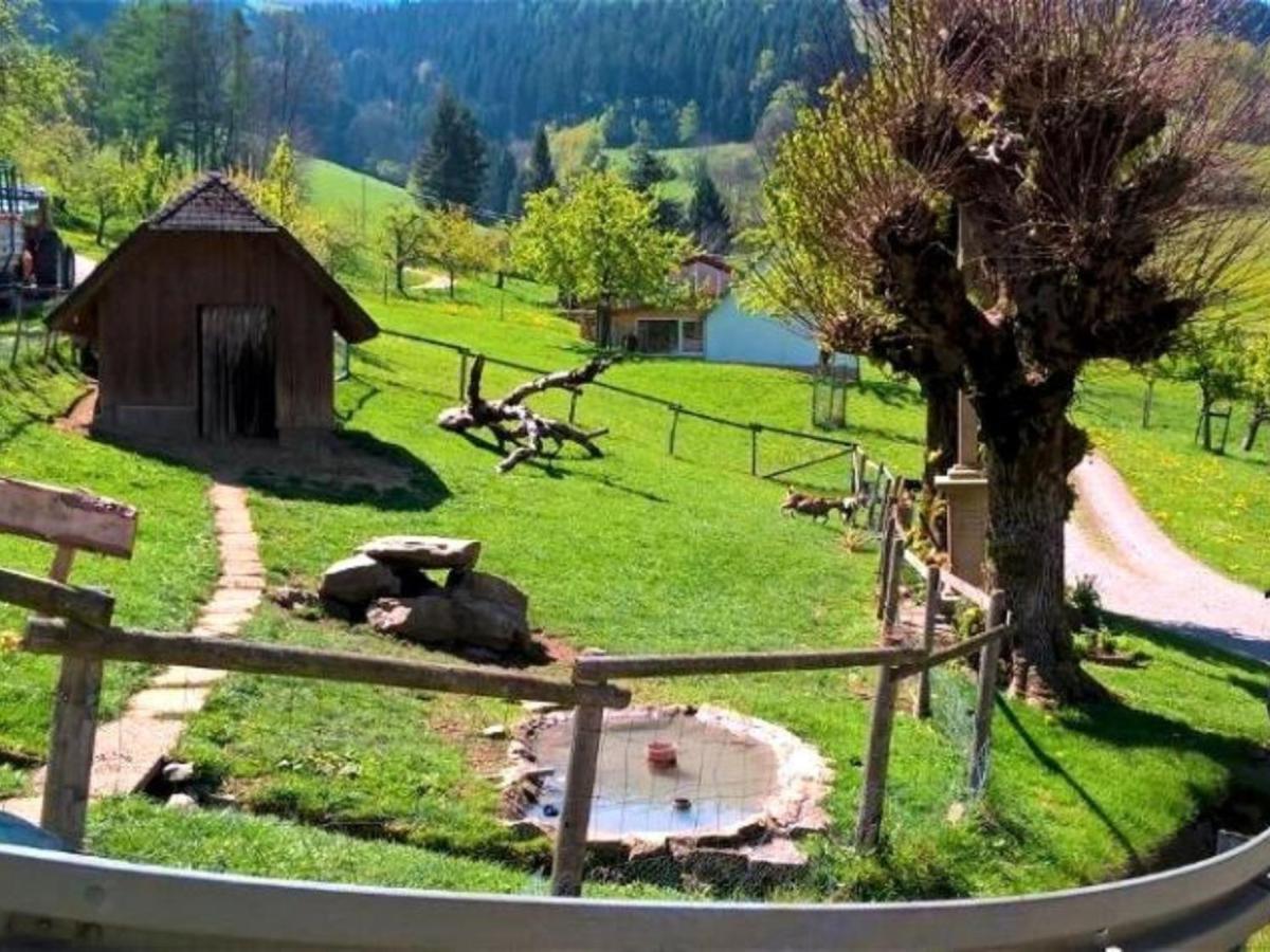 Apartment Maierhof Oberried Oberried (Breisgau)